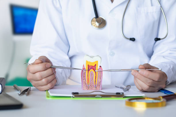 Best Pediatric Emergency Dentist in Valley Center, CA